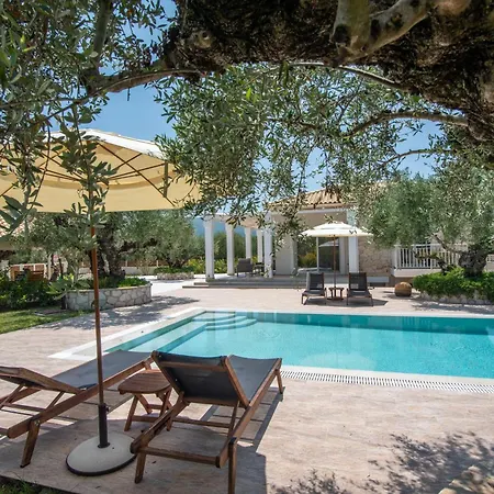 Niva * Agios Kirikos (Zakynthos)